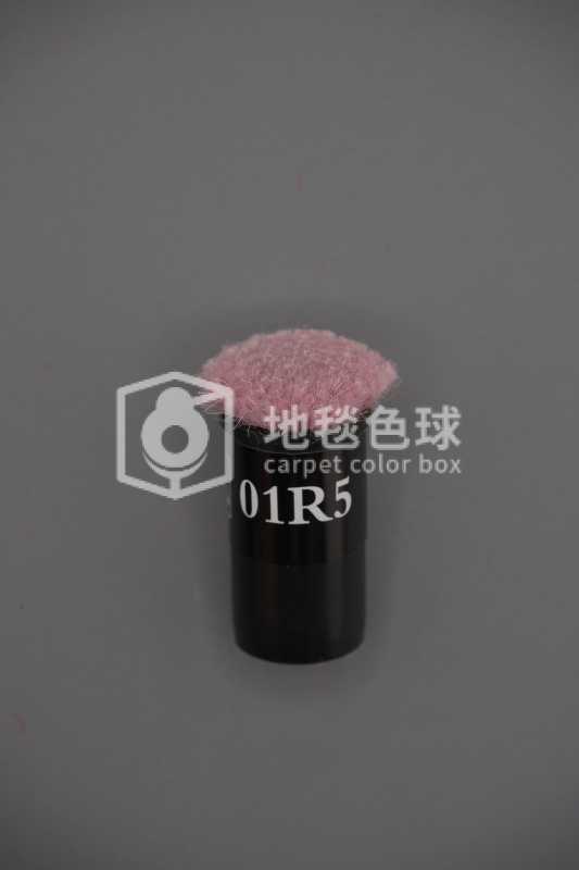 01R5