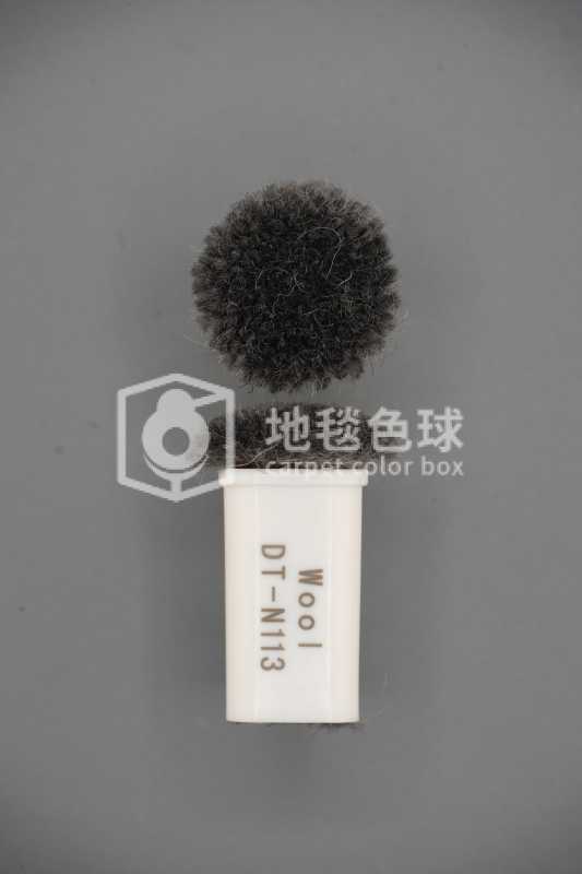 DT N113