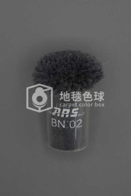 ARS BN02