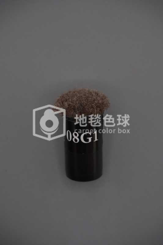 08G1