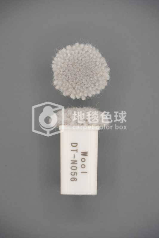 DT N056