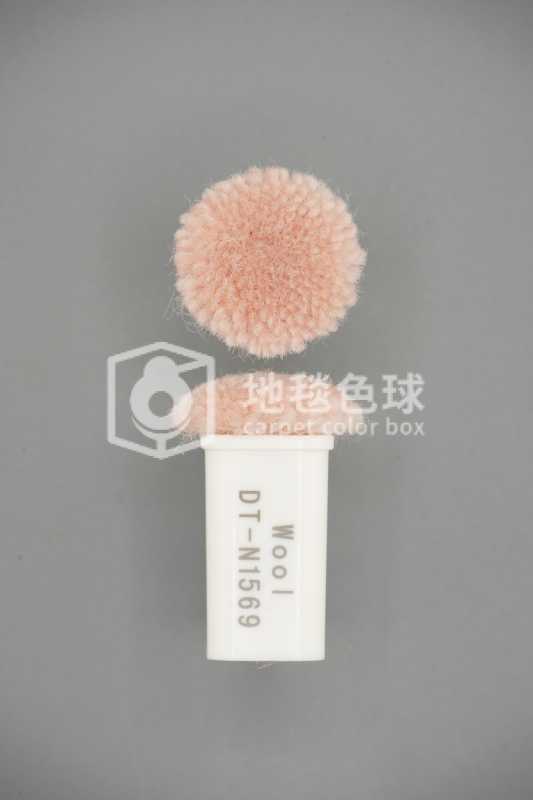 DT N1569