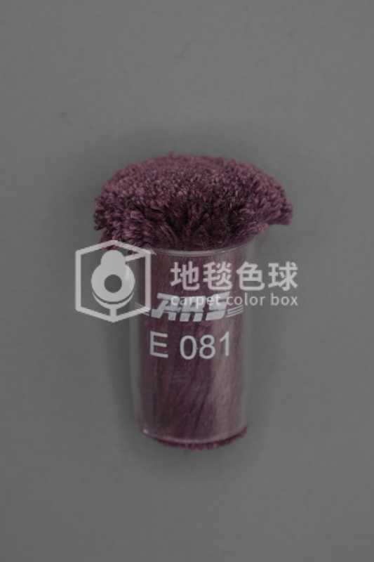 ARS E081