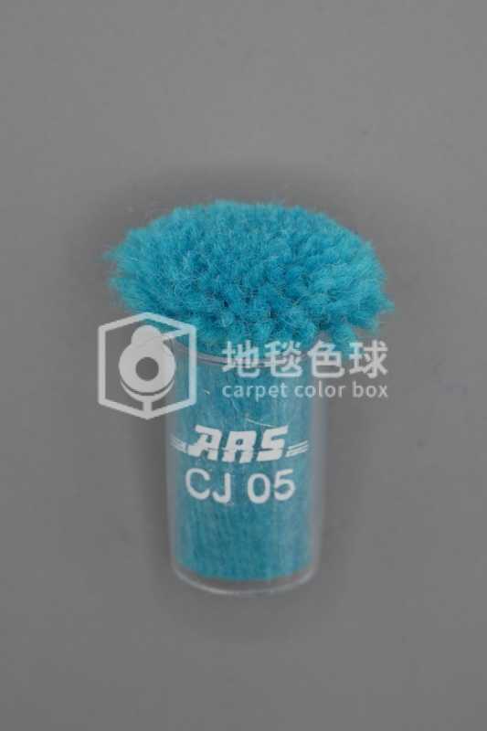 ARS CJ05