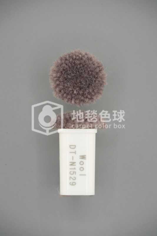 DT N1529