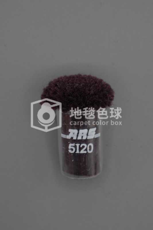 ARS 5I20