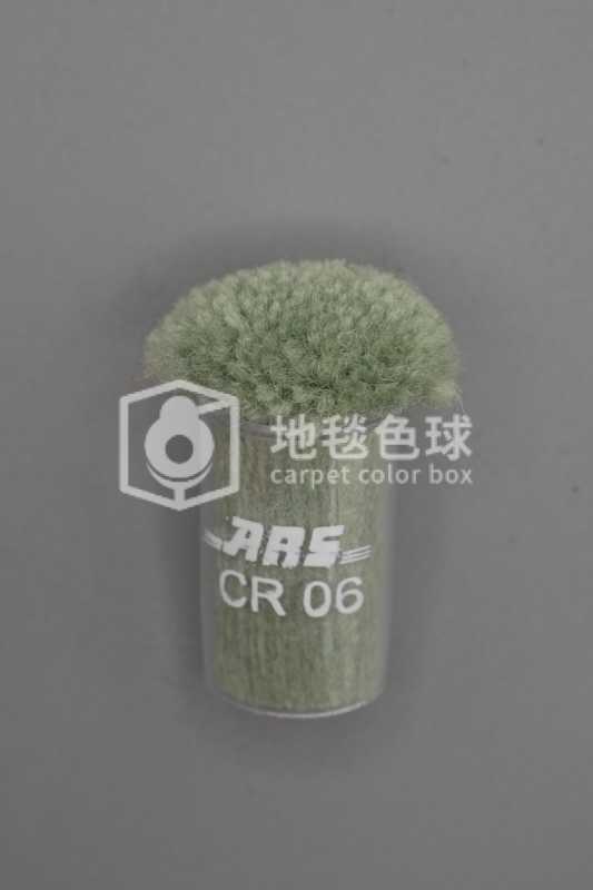 ARS CR06