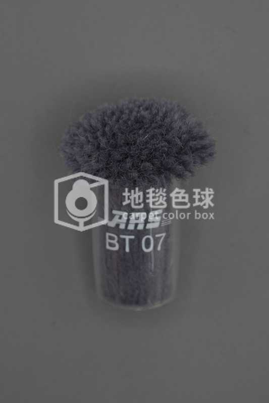 ARS BT07