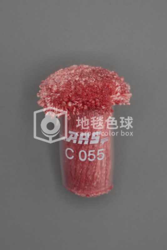 ARS C055