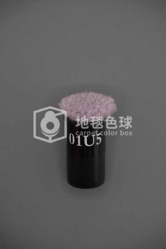 01U5
