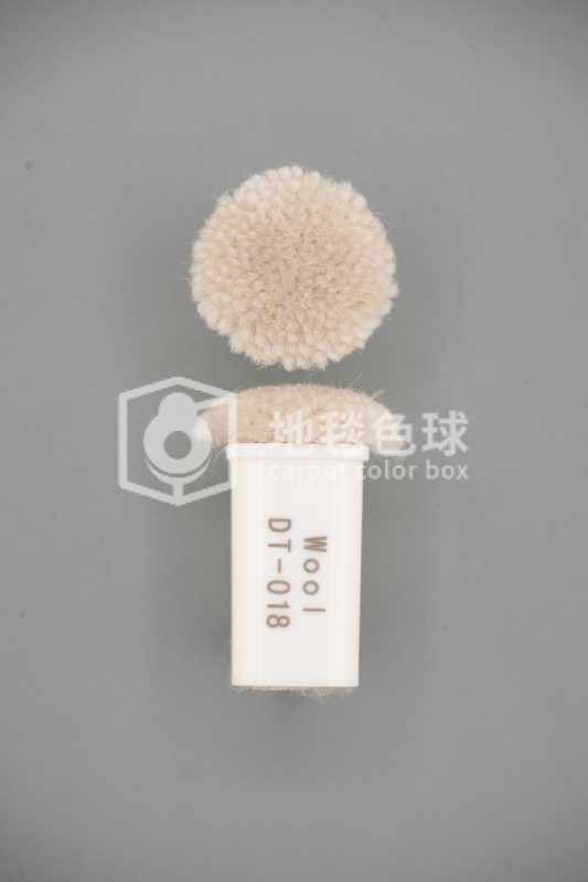 DT 018