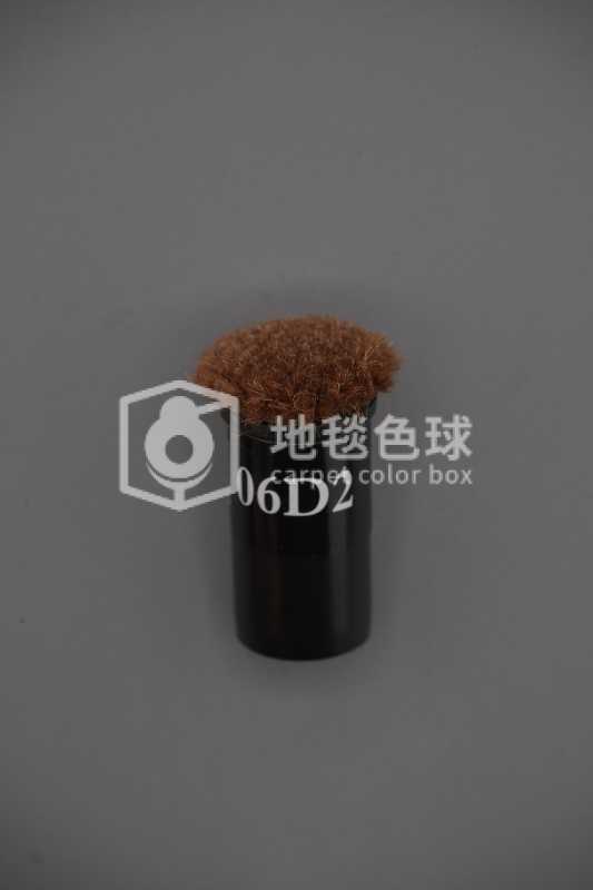 06D2