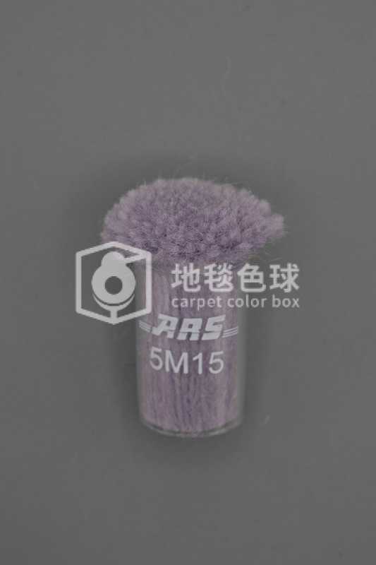 ARS 5M15