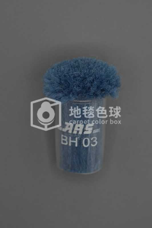 ARS BH03