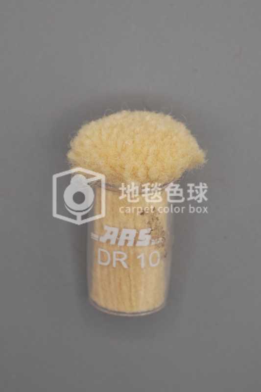 ARS DR10