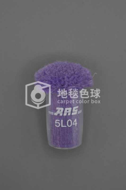 ARS 5L04