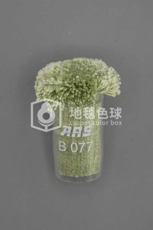 ARS B077