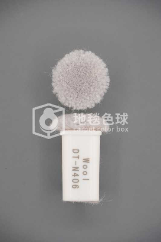 DT N406
