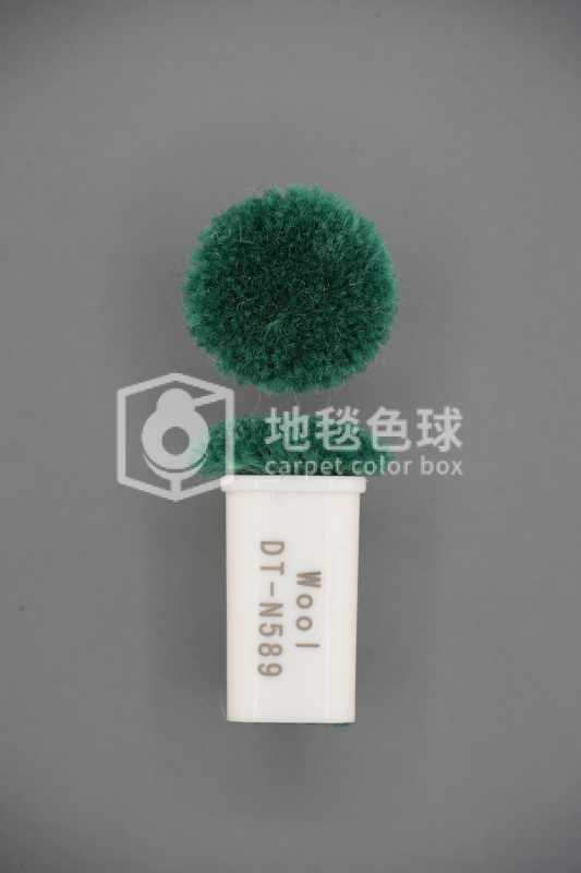 DT N589