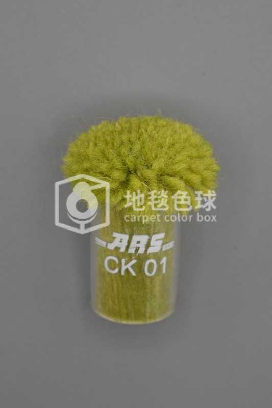 ARS CK01