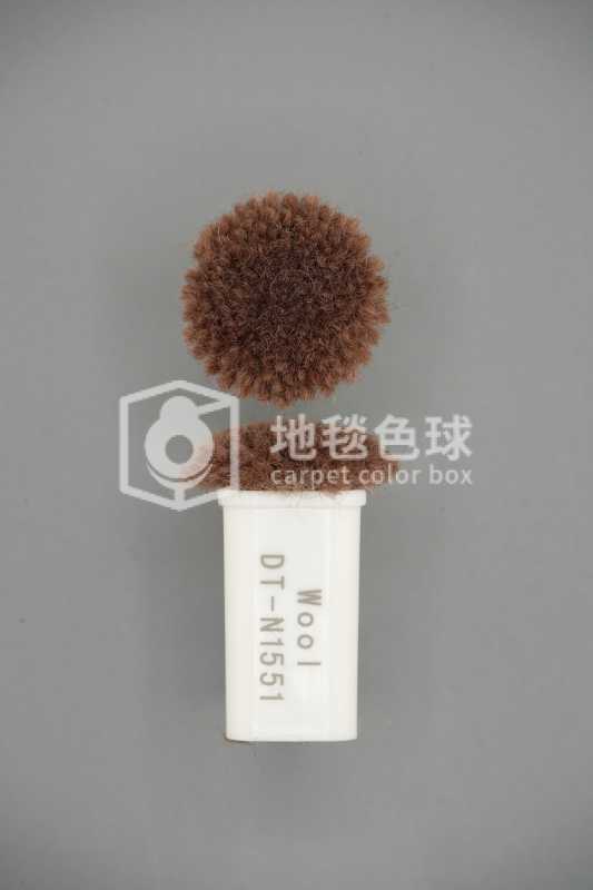 DT N1551