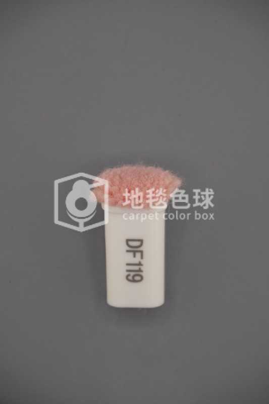DF119