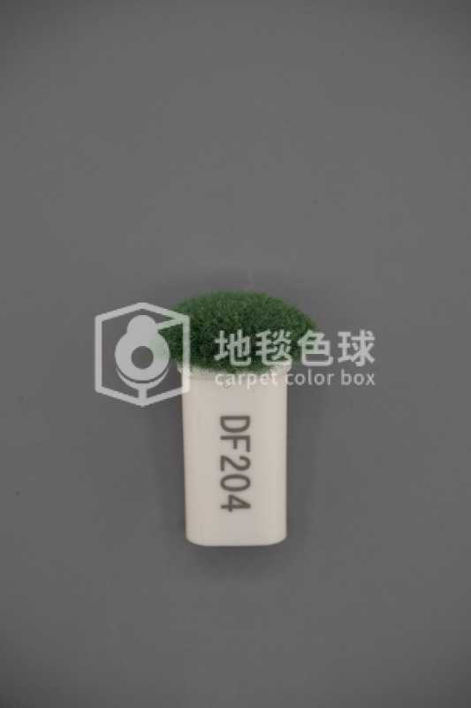 DF204