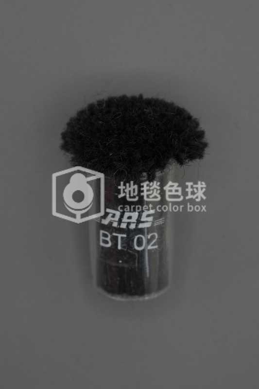 ARS BT02