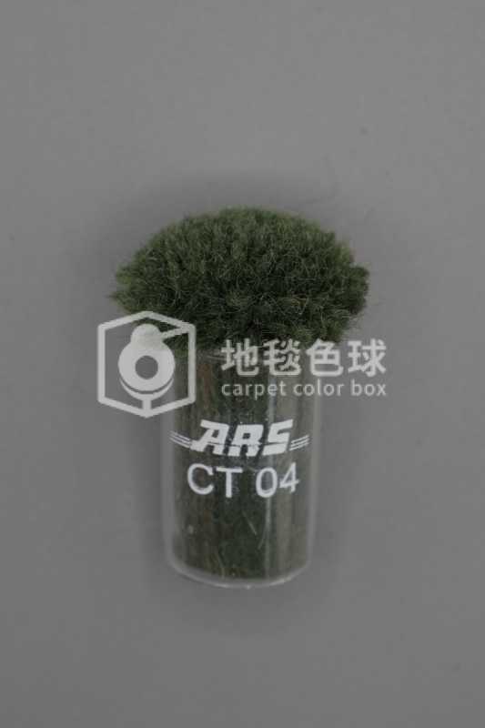 ARS CT04