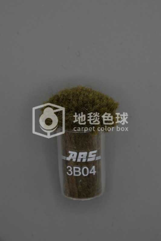 ARS 3B04