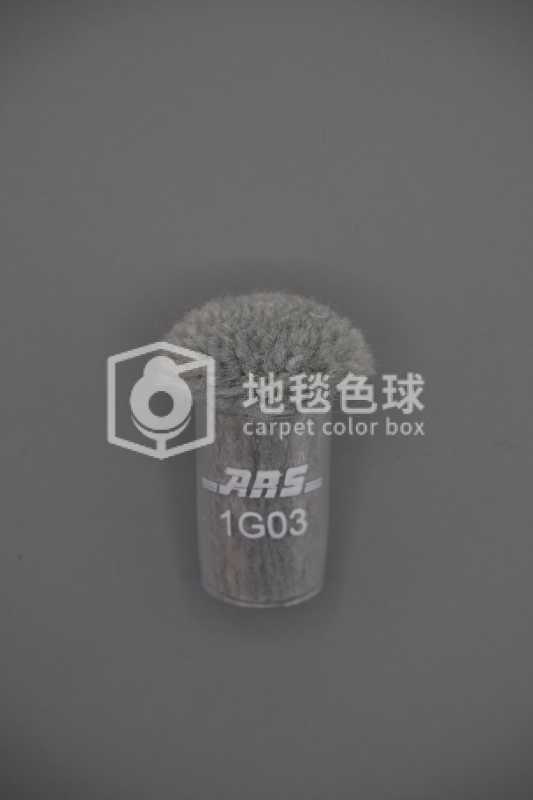 ARS 1G03