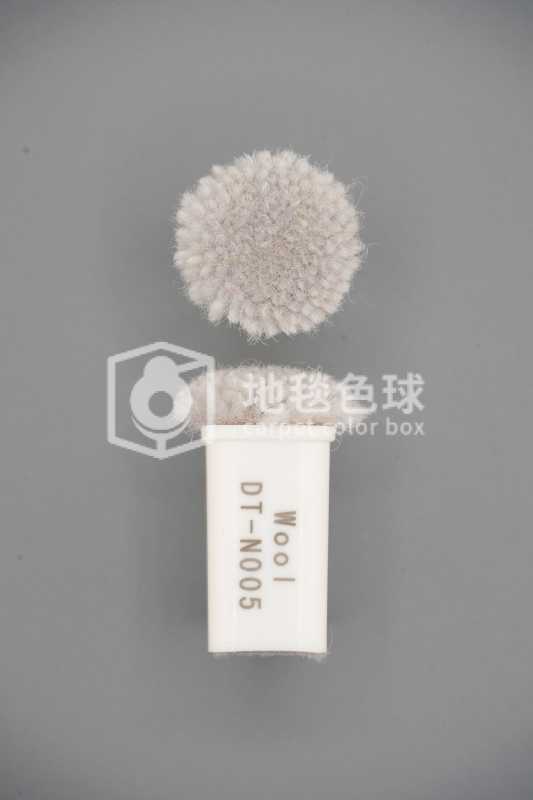 DT N005