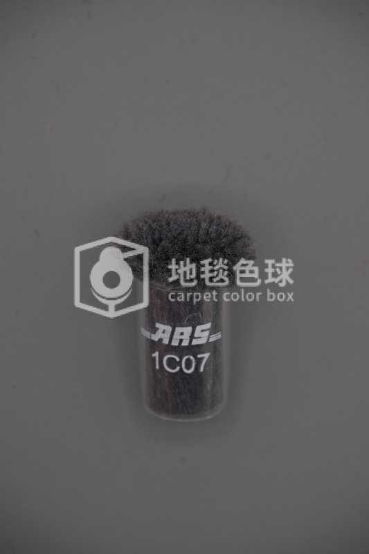 ARS 1C07