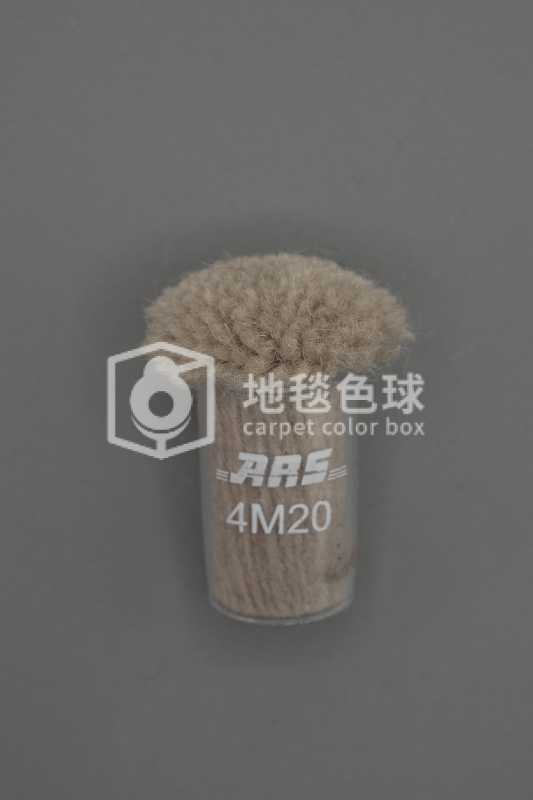 ARS 4M20