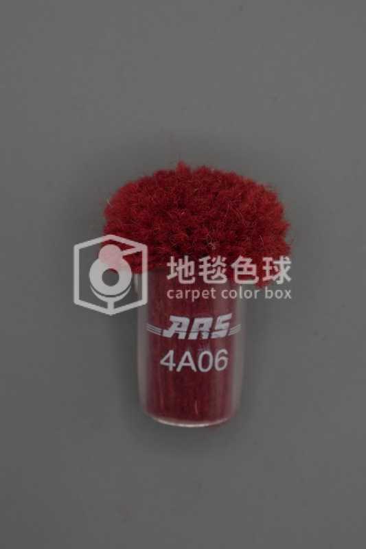 ARS 4A06