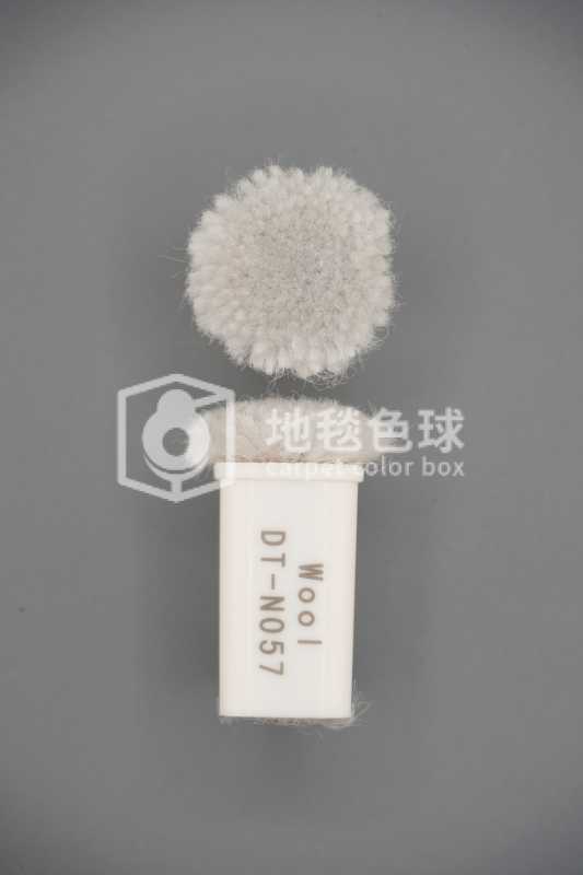 DT N057