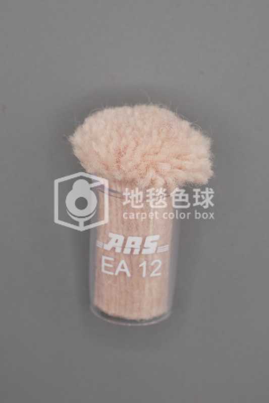 ARS EA12
