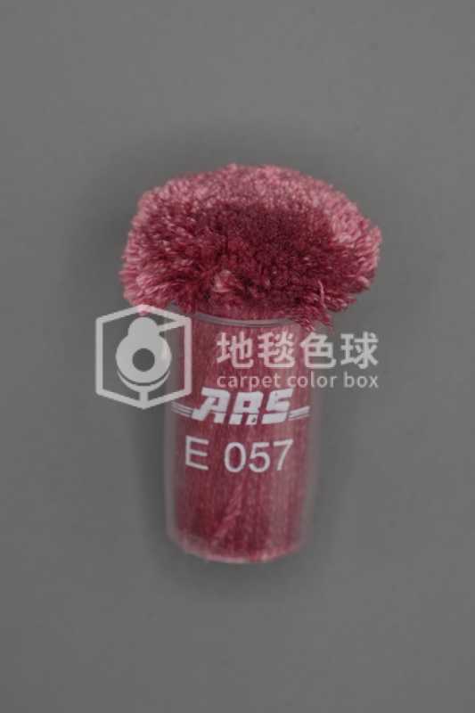 ARS E057