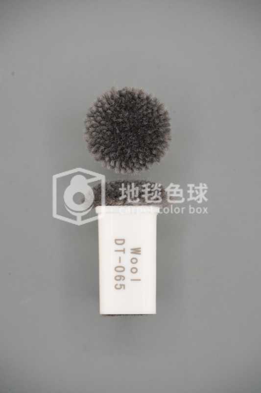 DT 065