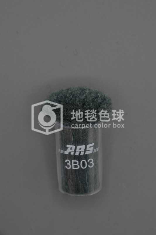 ARS 3B03