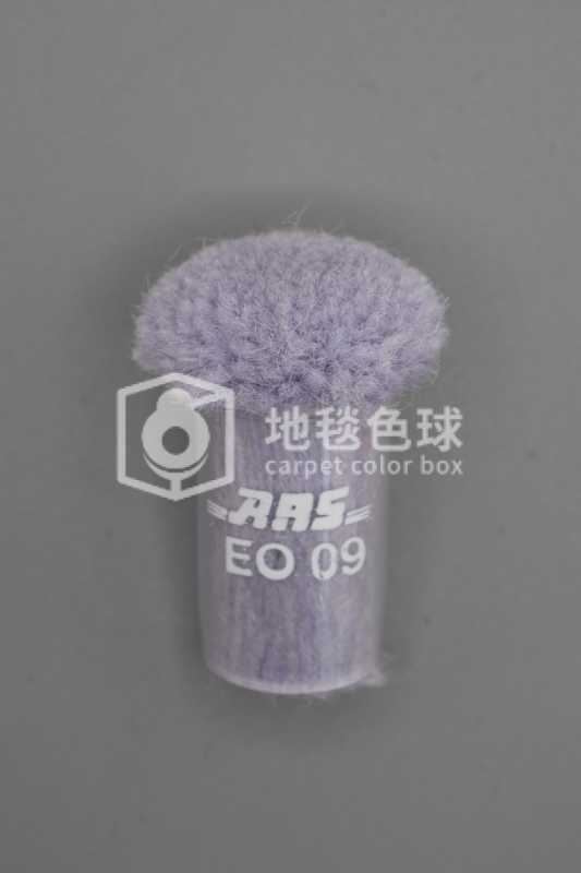 ARS EO09