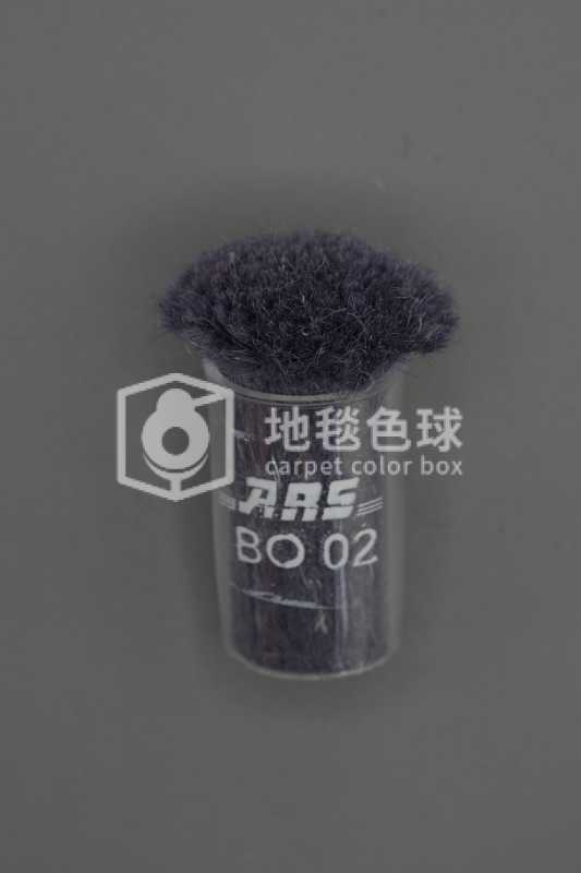 ARS BO02