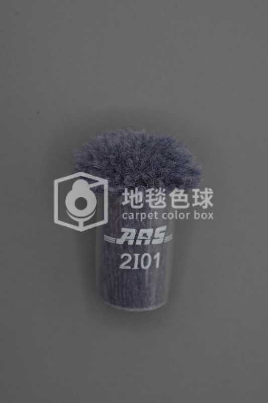 ARS 2I01