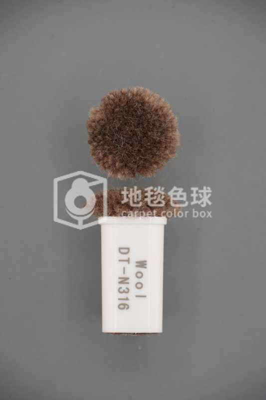 DT N316
