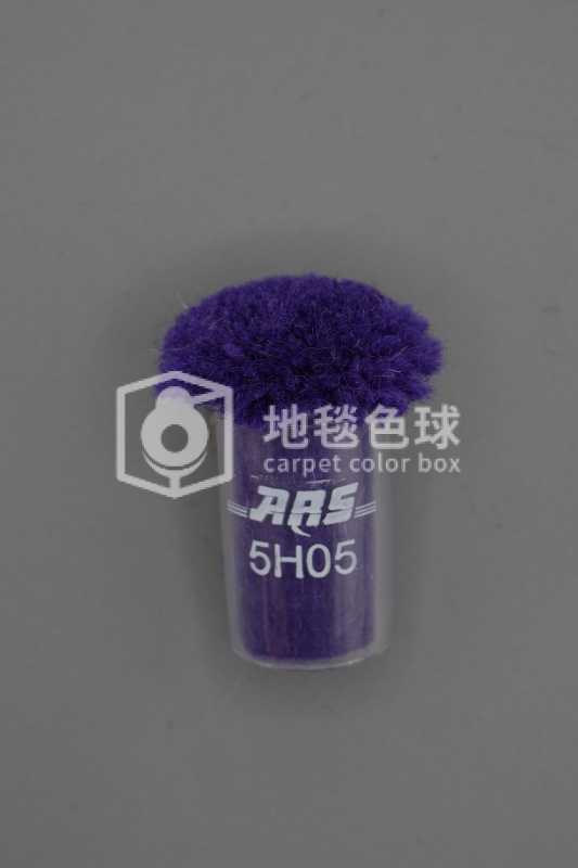 ARS 5H05