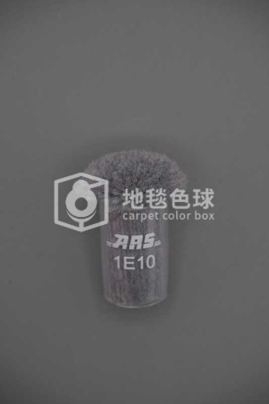 ARS 1E10
