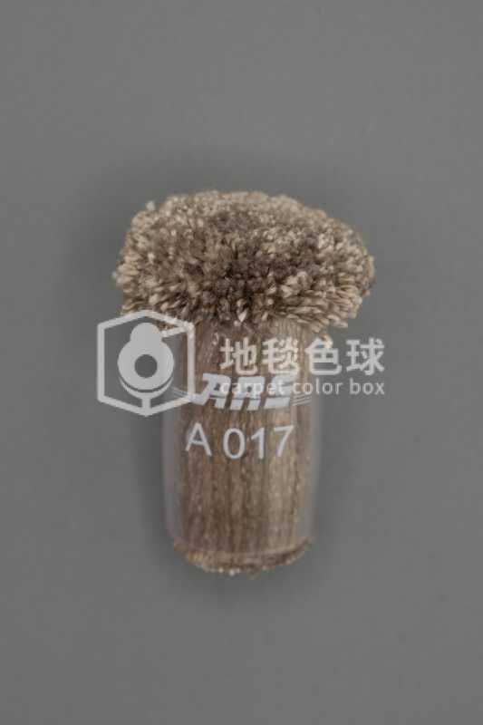 ARS A017