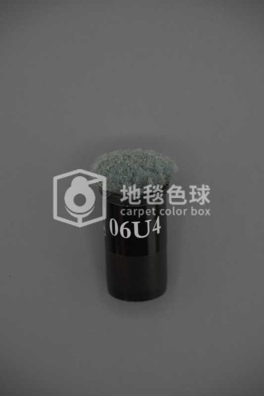 06U4