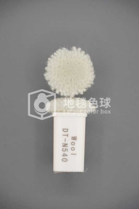 DT N540