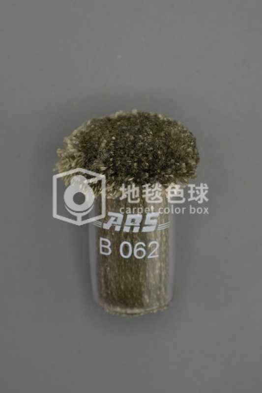 ARS B062